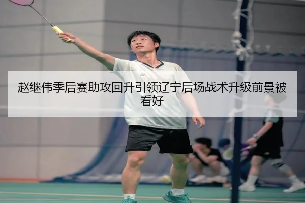 赵继伟季后赛助攻回升引领辽宁后场战术升级前景被看好 - aiyouxi