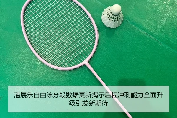 潘展乐自由泳分段数据更新揭示后程冲刺能力全面升级引发新期待 - aiyouxi