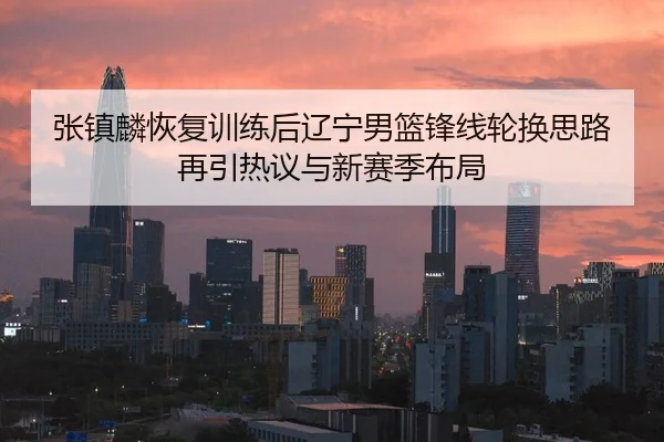 张镇麟恢复训练后辽宁男篮锋线轮换思路再引热议与新赛季布局 - aiyouxi